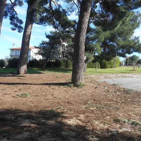 By The Sea - 13591 3*